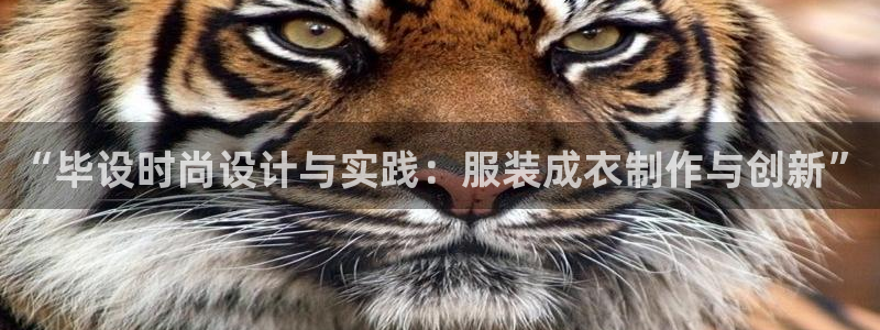 天辰娱乐主管