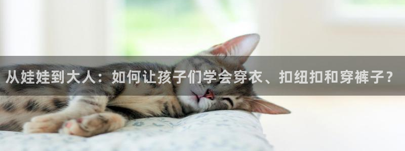 天辰娱乐60447