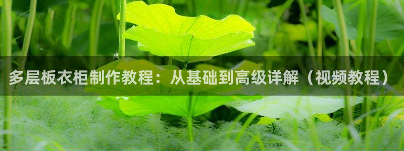 天辰娱乐675138