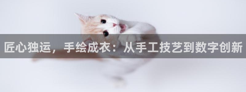 天辰娱乐线路