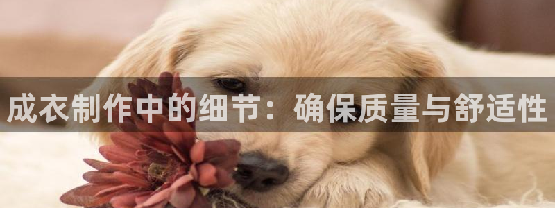 天辰娱乐下载地址
