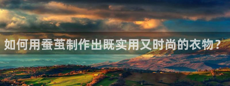 天辰娱乐游客