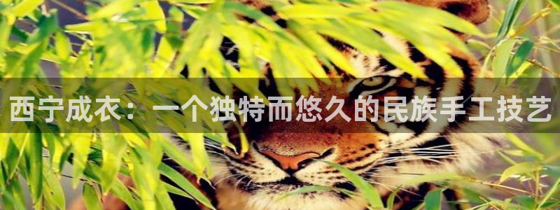 天辰娱乐地址