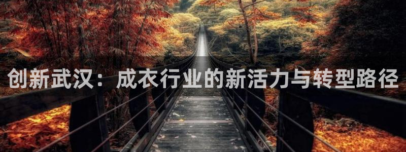 天辰娱乐海洋