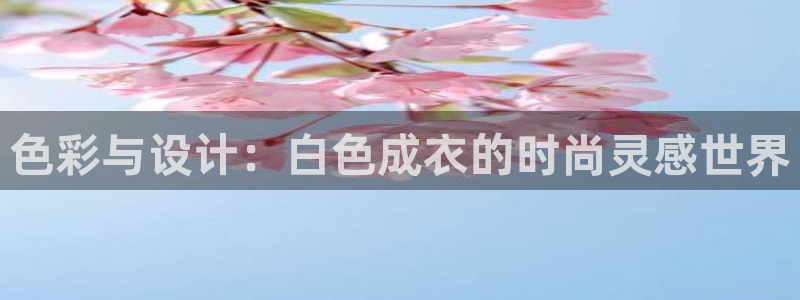 天辰娱乐总管