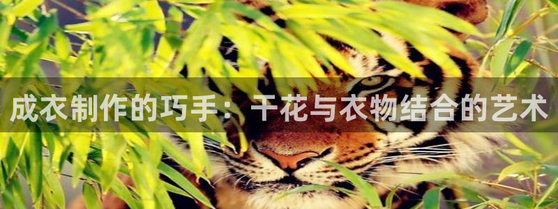 天辰娱乐下载链接
