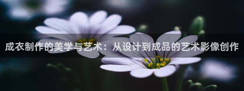 天辰娱乐官方