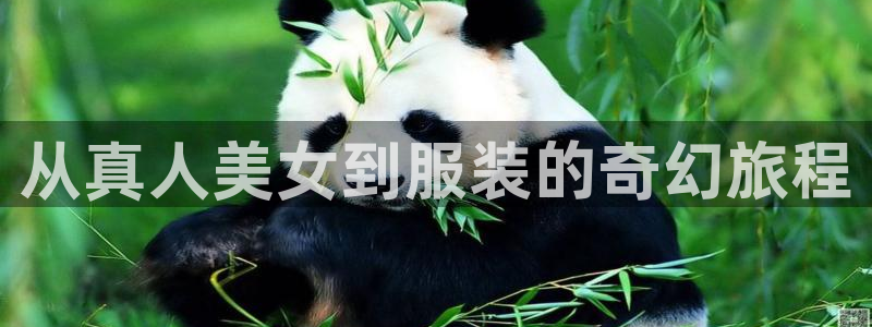 天辰 娱乐