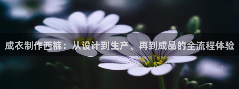 天辰娱乐代理