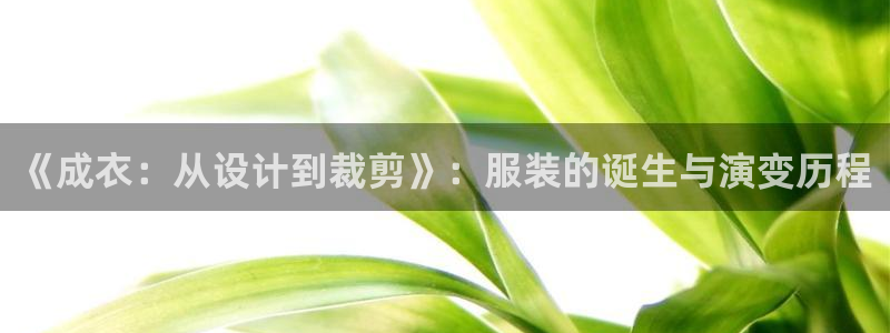 天辰娱乐代理