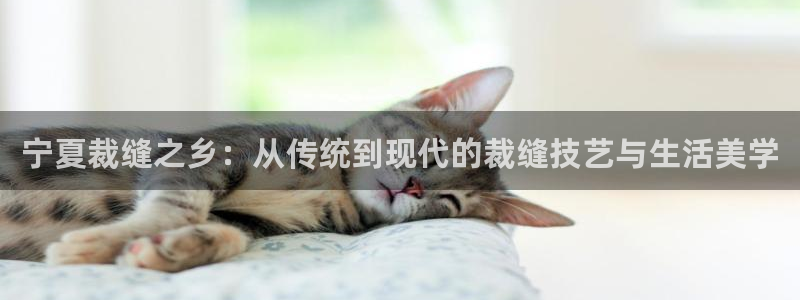 天辰娱乐_ 18113