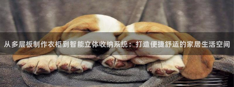 天辰娱乐官方