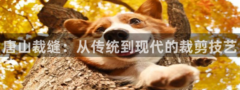 天辰娱乐彩票