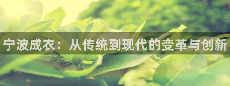 天辰娱乐线路