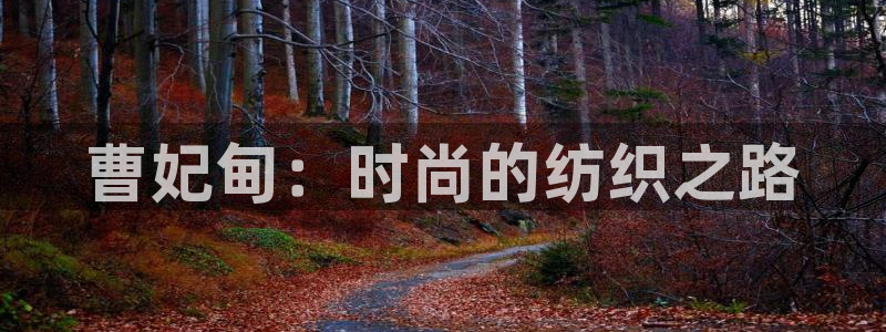 天辰娱乐登录网址