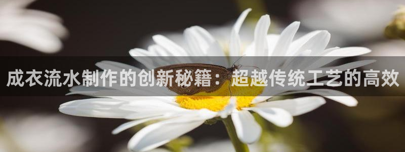 天富娱乐天辰娱乐