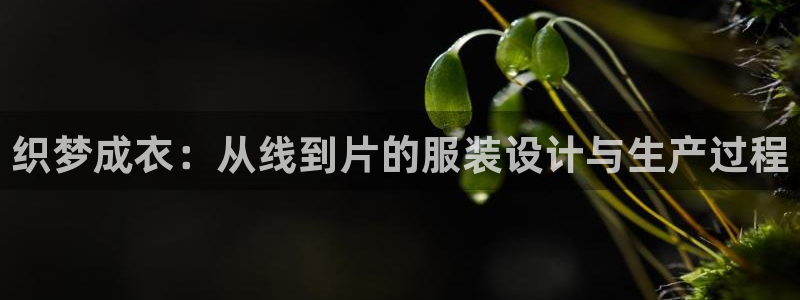 天辰娱乐平台登录账号