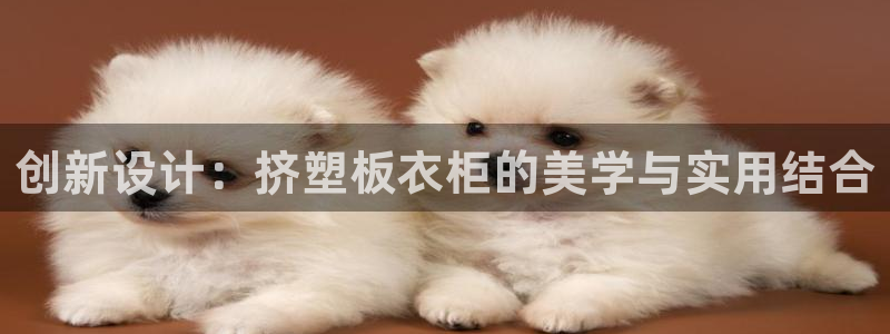 天辰娱乐小妹