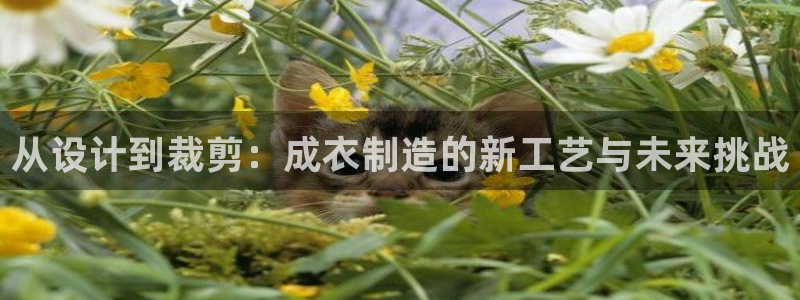 天辰娱乐官