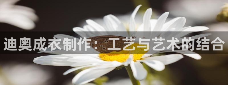 天辰娱乐-18113