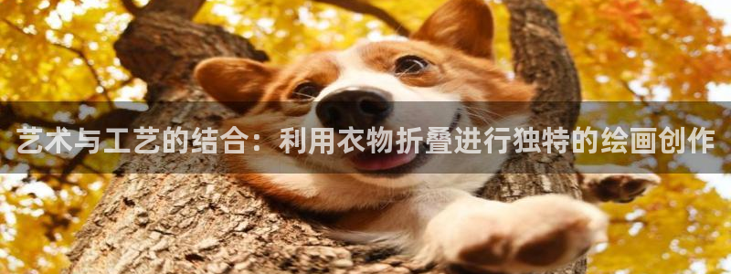 天辰娱乐best