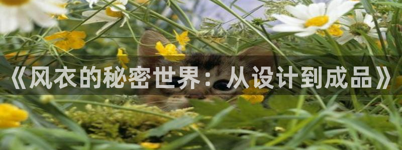天富天辰娱乐