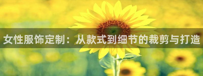 手机上怎么下载天辰娱乐