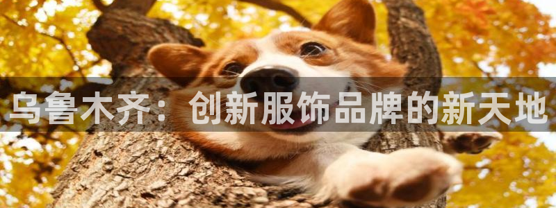 天辰娱乐平台入口