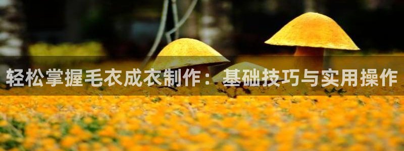 天辰娱乐登录网址