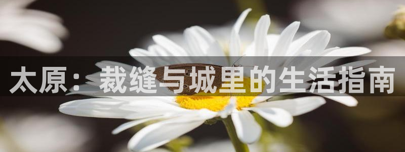 天辰娱乐官方网