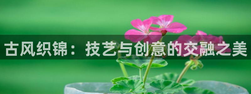 天辰娱乐官网平台入口