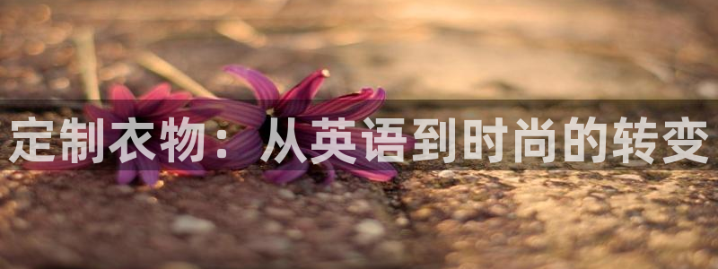 天辰平台娱乐