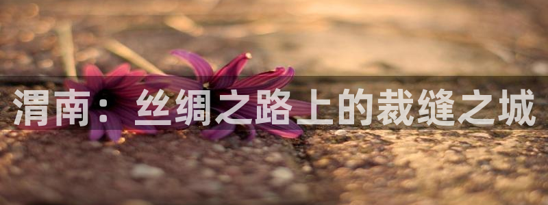 天辰娱乐1966