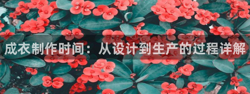 菲律宾天辰娱乐