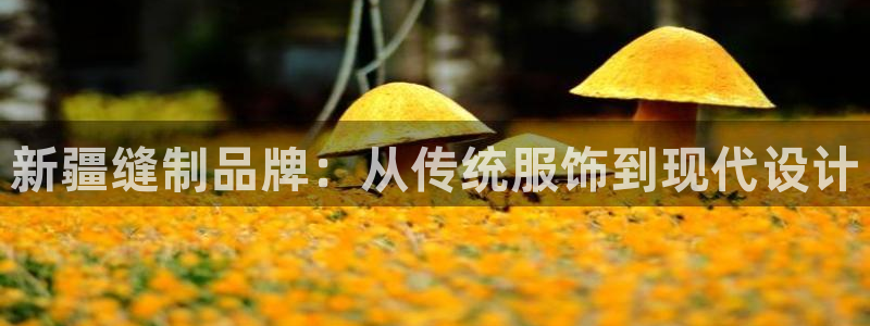天辰娱乐白屏