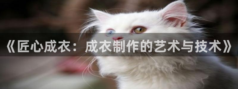 天辰娱乐平台登录账号