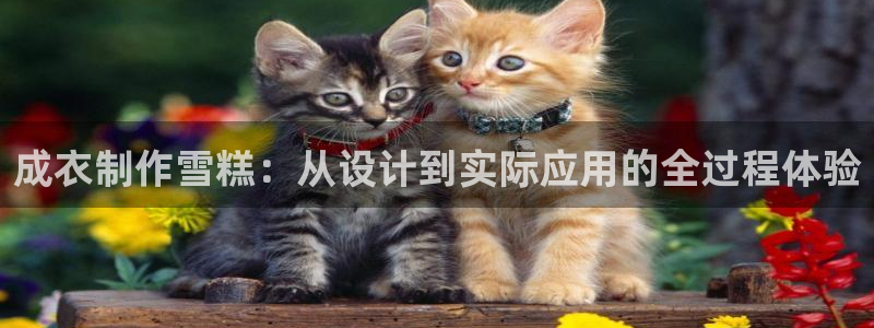 天辰娱乐国际