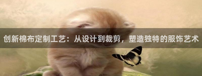 天辰娱乐所