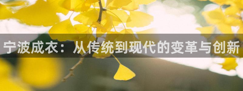 天辰娱乐直属