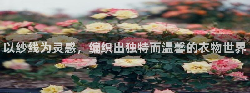 天辰娱乐44516