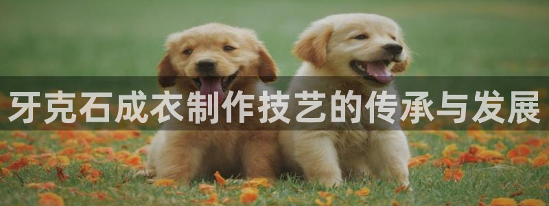 天辰娱乐728567